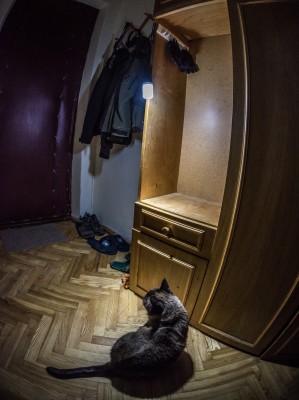 01.jpg