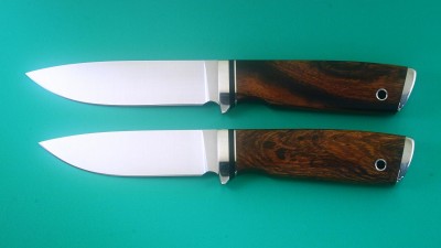 GIKO-prot-compare2.jpg