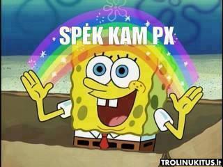 px.jpg