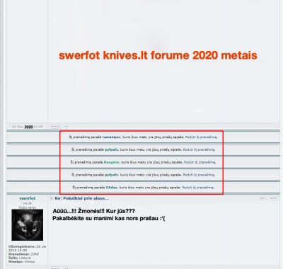 KasSuniuiUodegaPakelsJeiNeJisPats.jpg