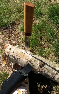 20170410_142013.jpg