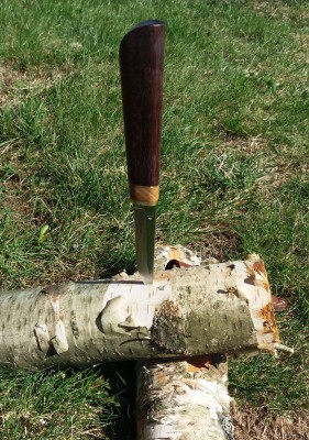20170410_141739 - 1.jpg