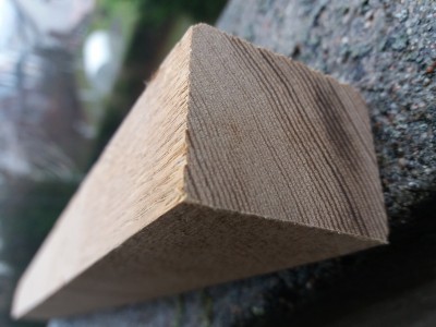 20181203_114626[1].jpg