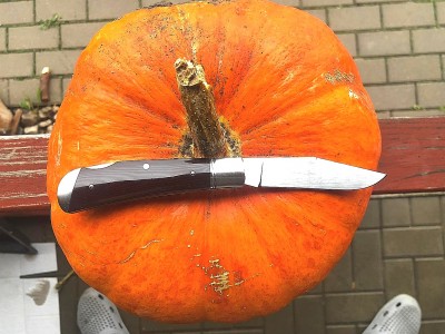 IMG_20201106_110127.jpg
