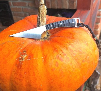 IMG_20201106_110709.jpg