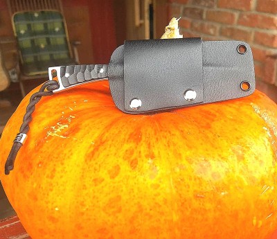 IMG_20201106_111416.jpg