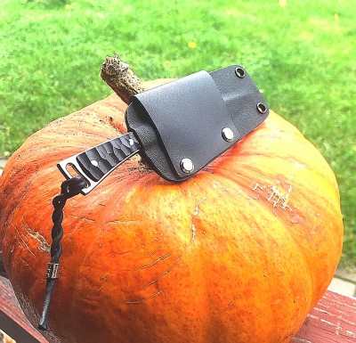 IMG_20201106_111035.jpg
