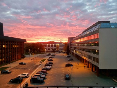 20211005_071335.jpg