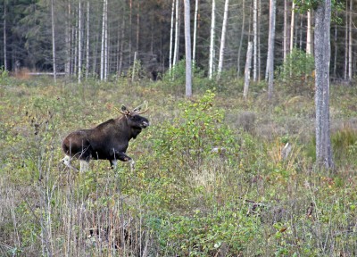 IMG_6405.JPG