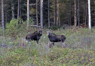 IMG_6413.JPG