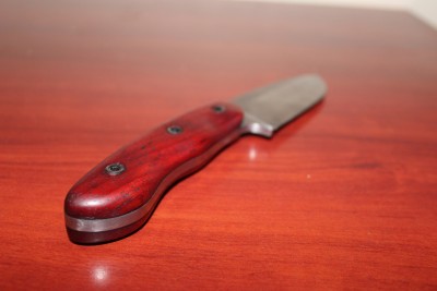 IMG_1292.jpg