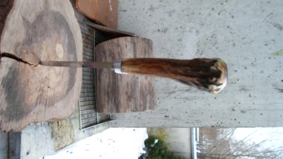 SAM_0661.JPG