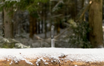 DSC_0193.jpg