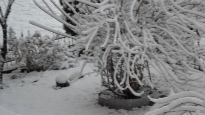 SAM_0669.JPG