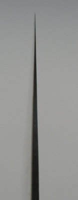 snap7919605.png