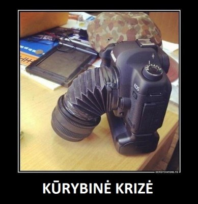 Kurybine-krize.jpg