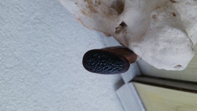 20160330_193041.jpg