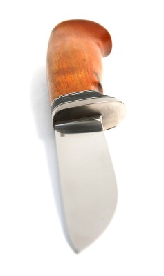 xxx562.jpg
