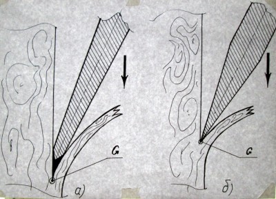37635_900.jpg