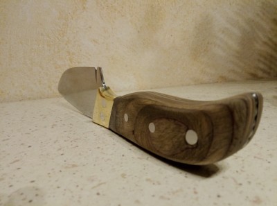 P70226-195303.jpg