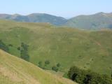 DSC00306.JPG