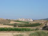 DSC00222.JPG