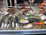 10x7-Buck-IWA-2012-109.jpg