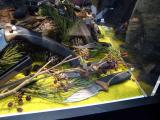10x7-Gerber-IWA-2012-308.jpg