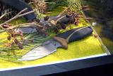 10x7-Gerber-crop-IWA-2012 308.jpg