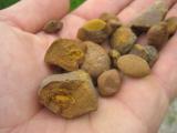 gelezies_ruda.jpg