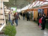 10x7-a-Sprendimu-ratas_2012-038.jpg