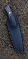 ms022-05