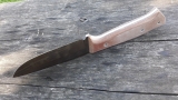 ta38-01