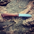 RB049-02