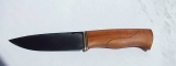 ev29-01