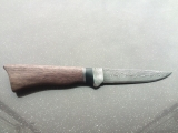 AN054-02