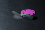DS081-03