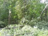 DSC00027.JPG