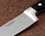 Fiskars-shefdelux200.jpg