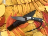Rb073-1