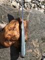RB081-4