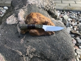 RB083-2
