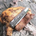 RB098-04